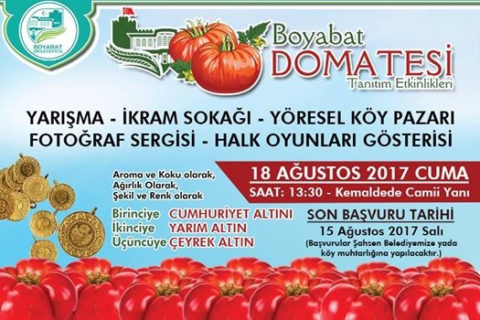 BOYABAT BELEDİYESİ BOYABAT DOMATESİ  TANITIM ETKİNLİĞİ YAPIYOR.