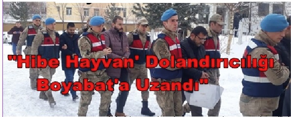 “Hibe Hayvan’ Dolandırıcılığı Boyabat’a Uzandı”