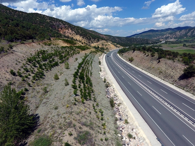 KARAYOLLARINI YEŞİL YOLLARA DÖNÜŞTÜRME PROJESİ