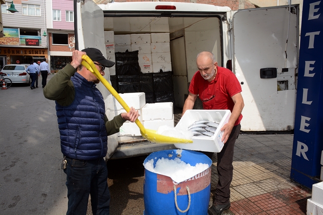 Sinoplu balıkçılar palamutla sevindi