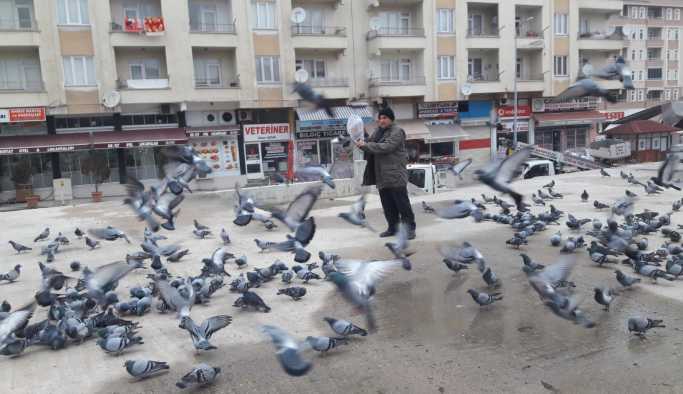 GÜVERCİNLER BOYABAT KENT MEYDANINA RENK VERİYOR