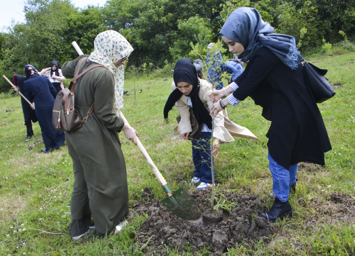 sehitlik fidan dikim (6)