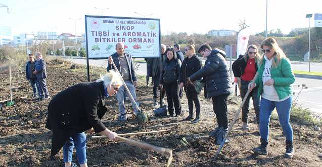 İş insanlarından meyve ormanı