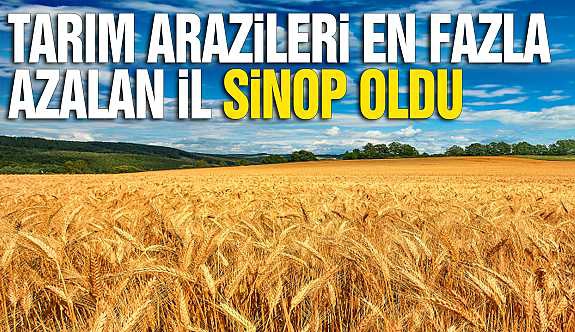 SİNOP’TA TARIM BİTİYOR!